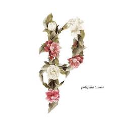 Polyphia : Muse (Remastered)